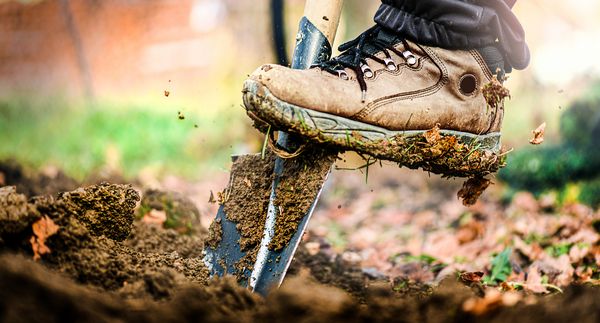  Ein Stiefel tritt auf eine Schaufel, die in den Boden gräbt. Der Boden ist feucht und mit Erde bedeckt. Im Hintergrund sind unscharfe Pflanzen und Bäume zu sehen.