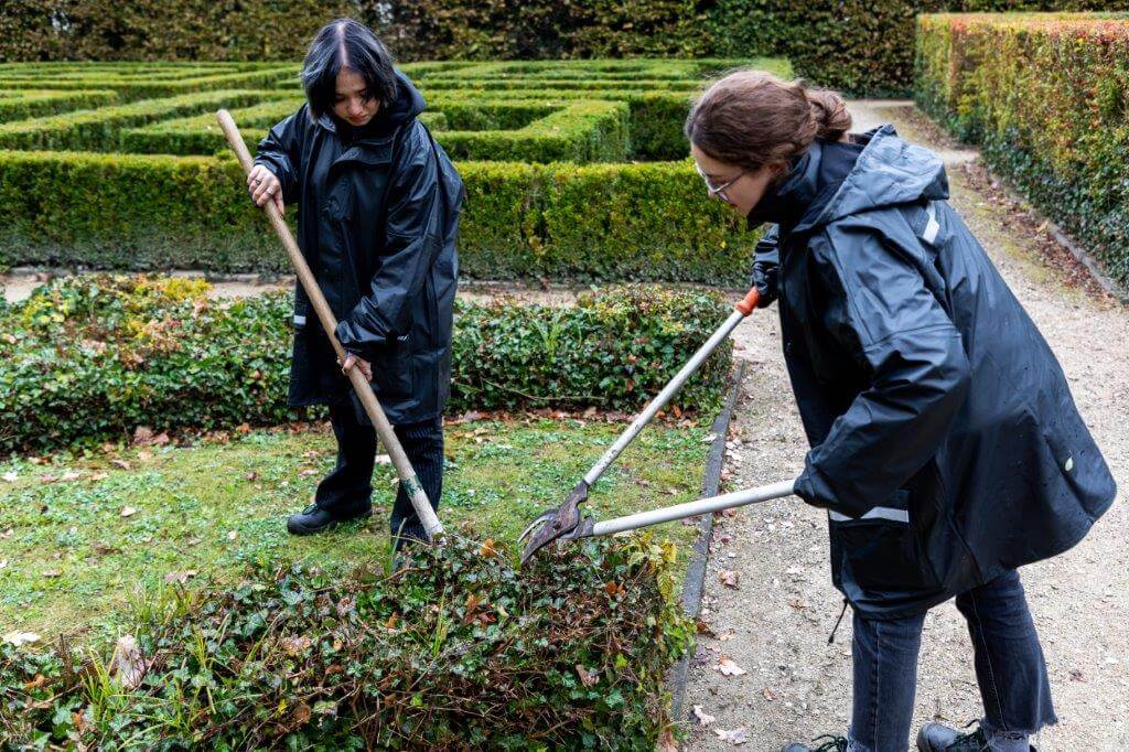 Zwei Praktikantinnen schneiden eine Hecke im Rahmen eines Praktikums zum Garten-und Landschaftsbauer.